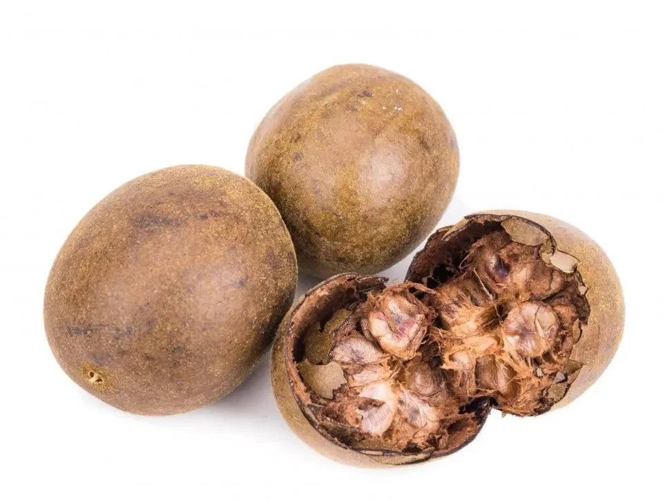 Luo Han Guo Seeds (Siraitia grosvenorii) Monk Fruit Plant Sweet Herb Rare