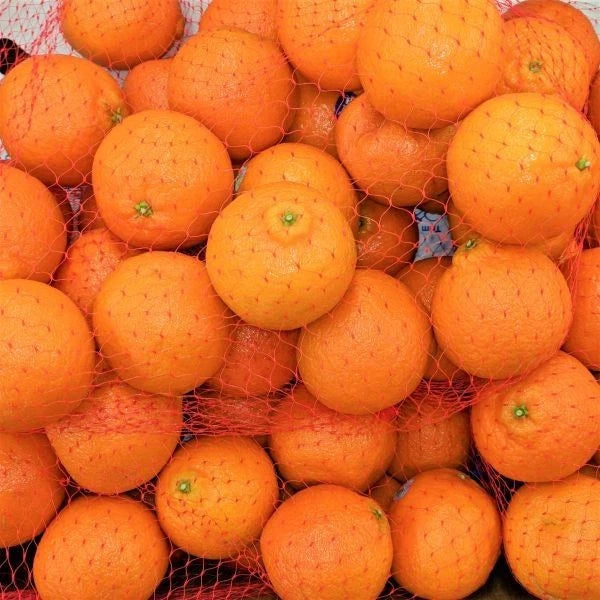 Dwarf Mandarin Orange Tree Organic Seeds – Citrus reticulata