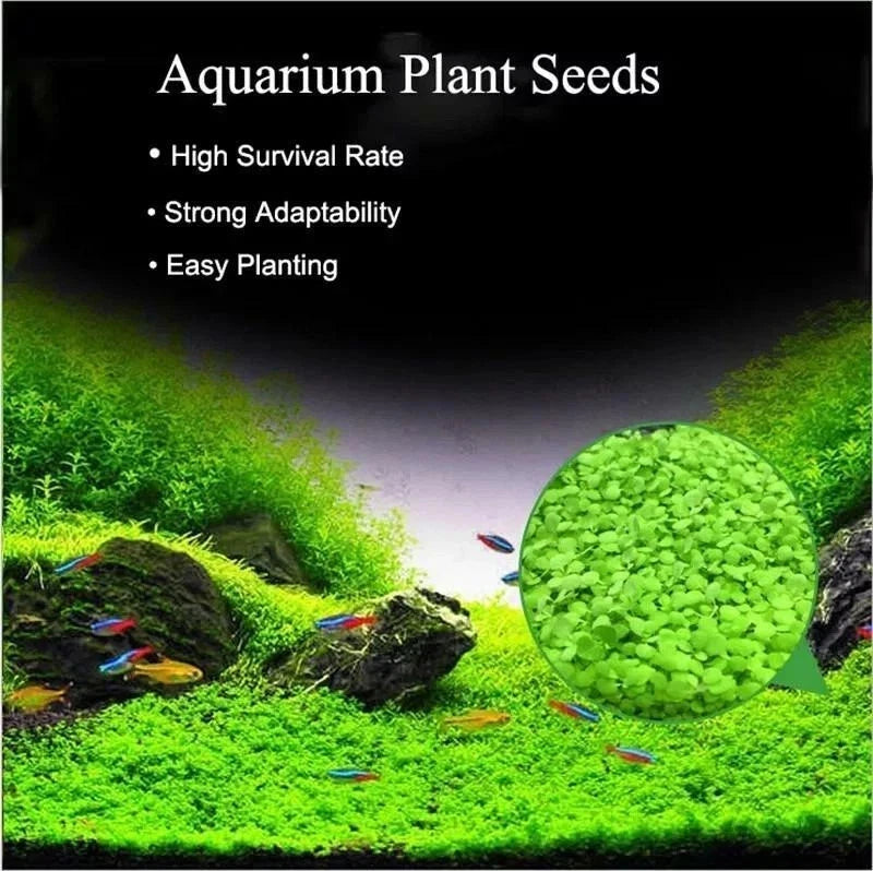 Aquarium Carpet Plant Seeds Aquatic Grass for Fish Tank Decoration