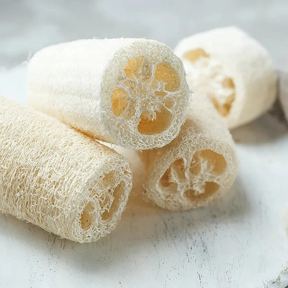 Super Long Luffa Gourd Seeds - Non-GMO, Loofah Sponge Gourd Seeds