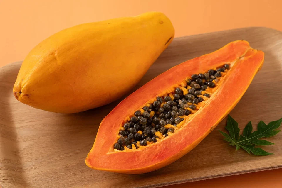 Dwarf Solo Waimanalo Papaya Seeds – Carica Papaya – Fast Fruiting Houseplant