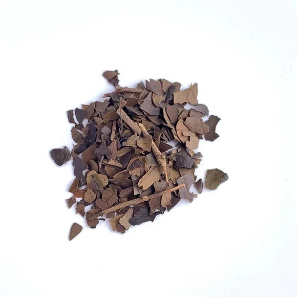 Organic Yaupon Holly Seeds Natural Caffeine Tea Plant Coffee Alternative